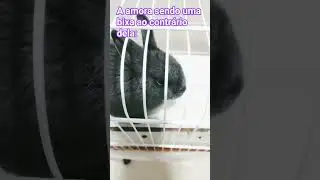 💞