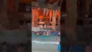 What I See #europaparkrust#waterpark#summer#f#shortsviral#rulantica#germany