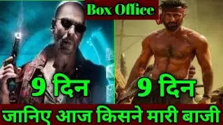 Animal Vs Jawan movie day-8 box office collection । animal movie collection report