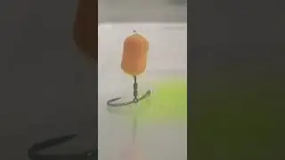 WOW 😲Dumbells pop UP fluo...