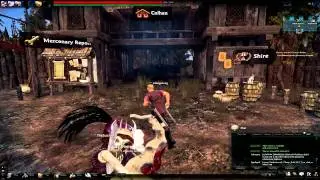 Vindictus Graphics Test