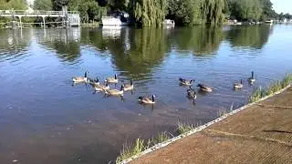 LG Optimus 4X HD video sample Full HD - Pocket-lint.com