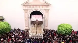 RECOGIDA AMARGURA 2019 - HUELVA