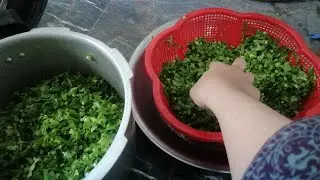 3kg Saag Recipe|bathu palak sarson ka saag|Desi saag recipe|palak saag|Village Style Saag Recipe