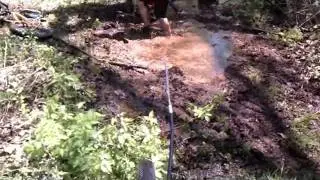Mud Puddle Fun