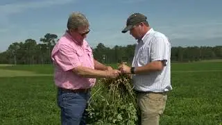 Peanut Industry Careers on the Farm