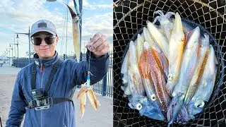 Enjoy the Fun of Daytime Squid Fishing in Summer - 07/2025 | How to Fish Squid From The Pier in PNW