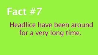 Facts about head lice