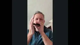 Would you like some harmonica help?