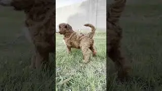 This is the kind of happy you can&rsquo;t fake.