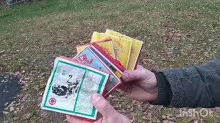 Sehr seltene Thunder Red Lantern und 3 verschiedene Jaguar plus Bonus