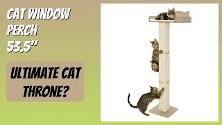 REVIEW (2025): Cat Window Perch 53.5