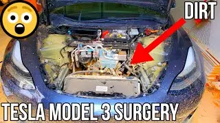 Tesla Model 3 Frunk Surgery | Powered Frunk | Automatic Frunk | Hanshow | Y