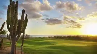 Tiger Woods Delivers on Course Design Debut | GOLF.com