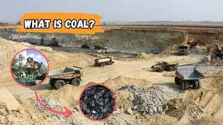 How is coal formed in nature?