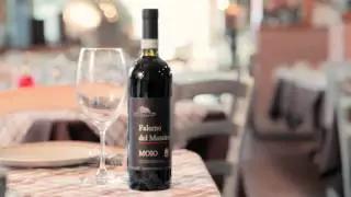 DocuWine | Falerno del Massico Rosso - Moio