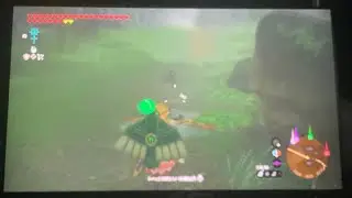wing shield bullet time from nothing TotK (practice) desc for how-to