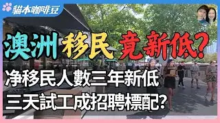 移民潮退去，澳洲突然人少了？辦公室招聘也需要試工，打工度假簽證離境人數翻倍｜社會節奏正在改變，澳洲的低增長時代已經開始？| 澳洲與紐西蘭移民生活深度分享 | 貓本咖啡豆