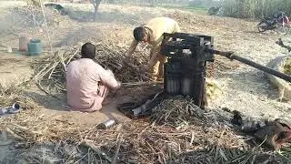 Traditional Jaggery Making Plant In Punjab | How to Make Jaggery | Gur Making | Organic Jaggery