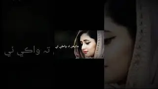 🥀Sindhi shayari 😍status sad Sindhi poetry lifeline poetry