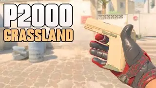 ★ CS2 P2000 Grassland (FACTORY NEW) | CS2 P2000 Gameplay