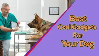 Best Amazing Pet Gadgets || Cool Products Every Dog Lover Needs