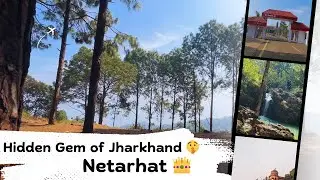 Jharkhand Ka Switzerland 😲 | Netarhat & Lodh Falls Vlog
