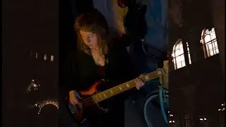 mitski - my love mine all mine (bass cover)