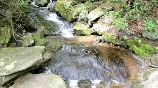 Boone Fork Trail