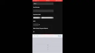 Wodify Payment Input