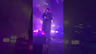 the cult Sweet Soul Sister the anthem Washington DC 2022