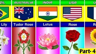 195 All National Flower From Different Countries | Part- 4 | Comparison Of All National Flowers