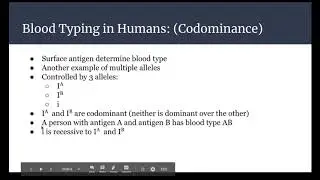 Biology 30 Multiple Alleles Video