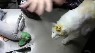 Making artdolls