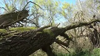 Nature reserve t Gulden Land Helmond, the Netherlands