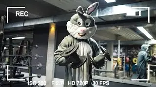 Osterhase beim Fitness-Workout