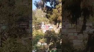Coonoor bus stand full video🙏👏👍👌👌💐💐