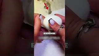 THIS VIDEO WILL HELP PARENTS 🤯