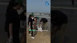 Trash From 1000 Beaches Are Becoming School Benches