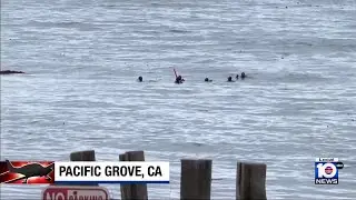 3 killed after small plane crashes into water off California coast