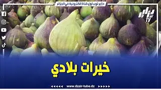 شاااهد ... ماشاء الله خير كبير ..إنزال قياسي للتين بسوق ششار في خنشلة