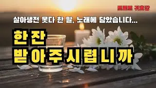 한잔술에 담은 그리움 - 한잔 받아주시렵니까 | 부모님 생각날 때 듣는 노래 | 트로트 귀호강
