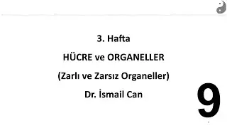 Hücre-B09: Hücre İskeleti: Aktin, Ara Filamanlar ve Mikrotübüller | Dr. İsmail Can