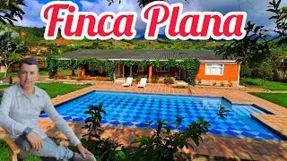 🌳REF.051 #PEDROPARRA Finca #Plana De 2.000 Mts Con citricos Cerca Cali Colombia #Barata Campo
