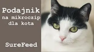 Podajnik dla kota na mikroczip / SureFeed.