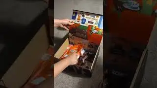 August Bark Box opening