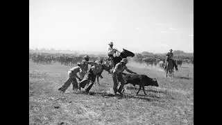 Hispanic Influence on Ranching in Texas