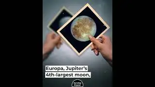 Ceres Is an Ocean World with Seawater