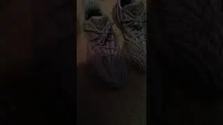 Yeezy 350 Beluga V2 Review