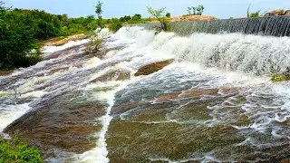 Bethamangala dam water flowing | Dam water level | today news #villagelife